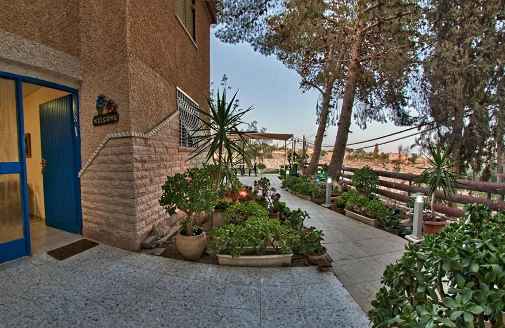 Desert View Arad Bagian luar foto