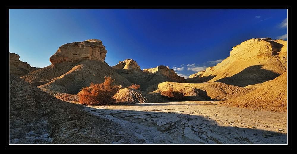Desert View Arad Bagian luar foto