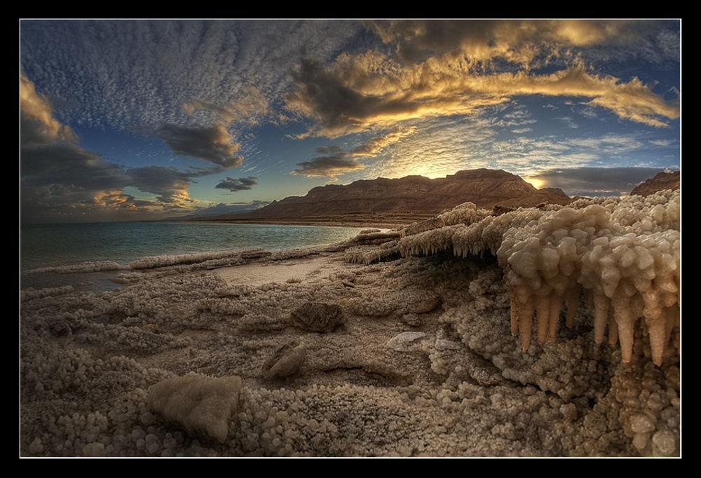 Desert View Arad Bagian luar foto